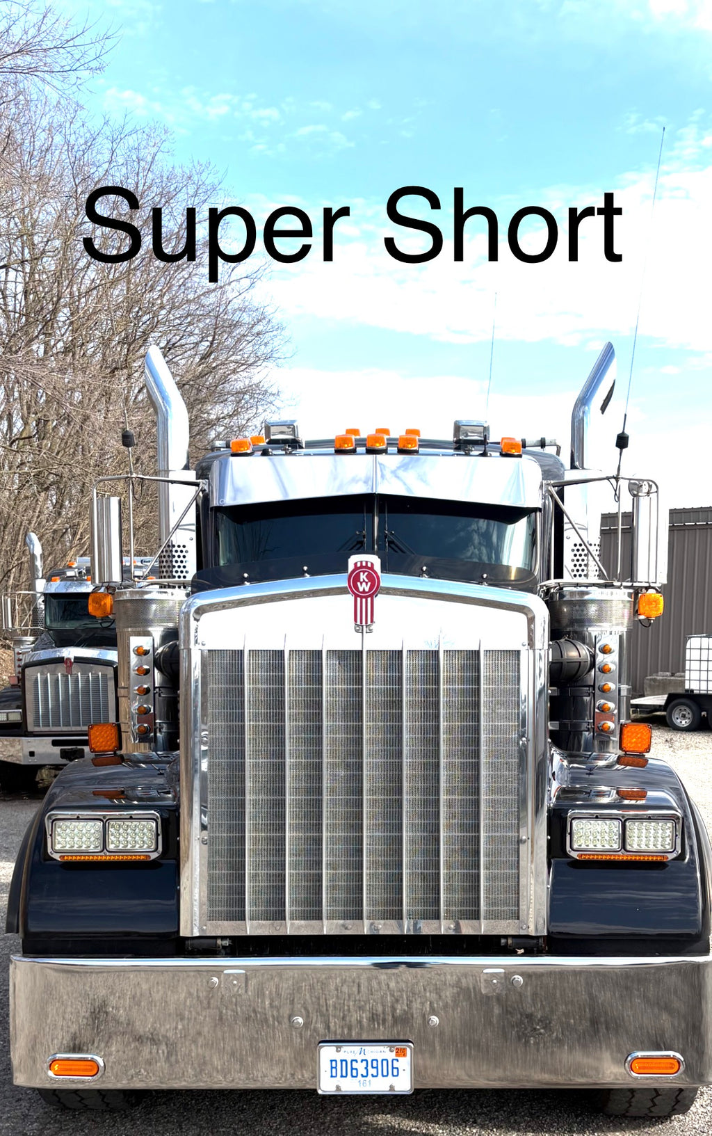 Kenworth W9B Bugshield