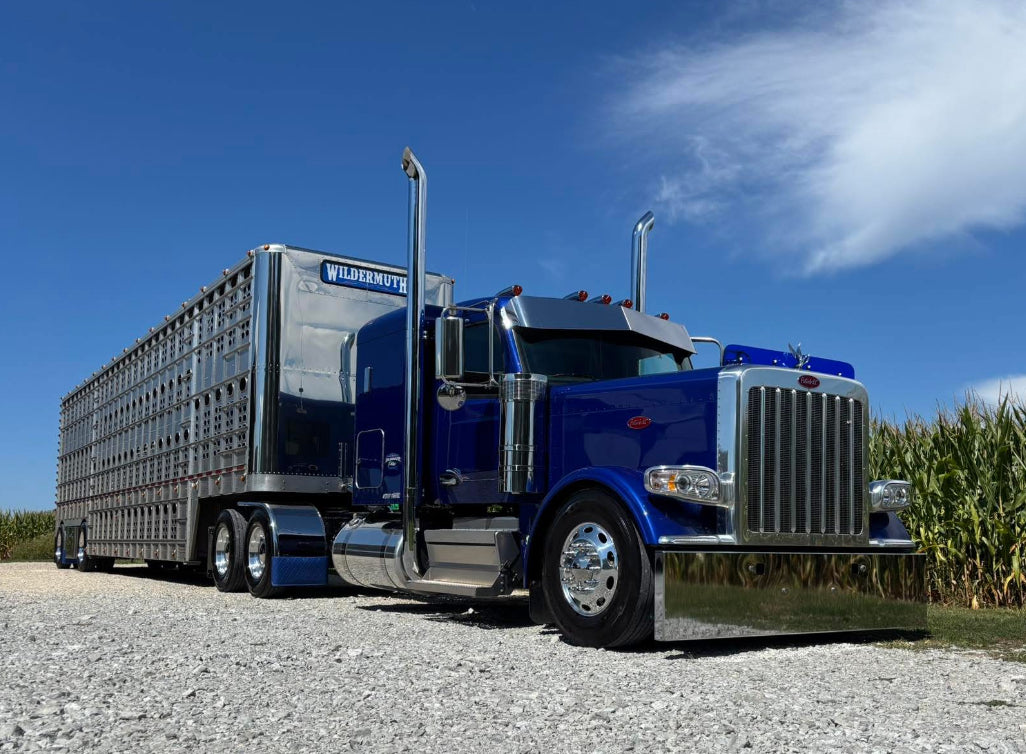 Peterbilt 589 Bugshield