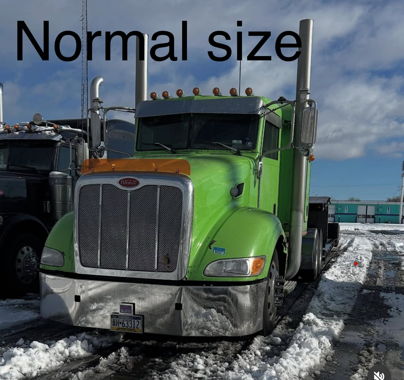 Peterbilt 384/386 Bugshield