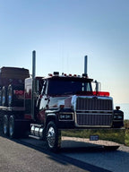 Ford LTL 9000 Bugshield