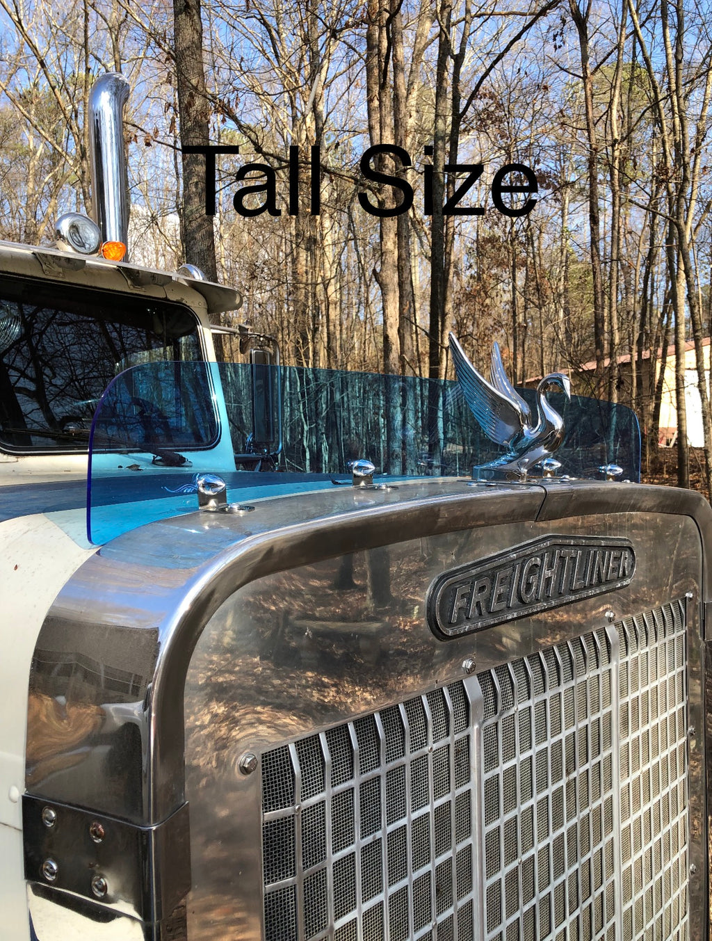 Freightliner FLC Bugshield