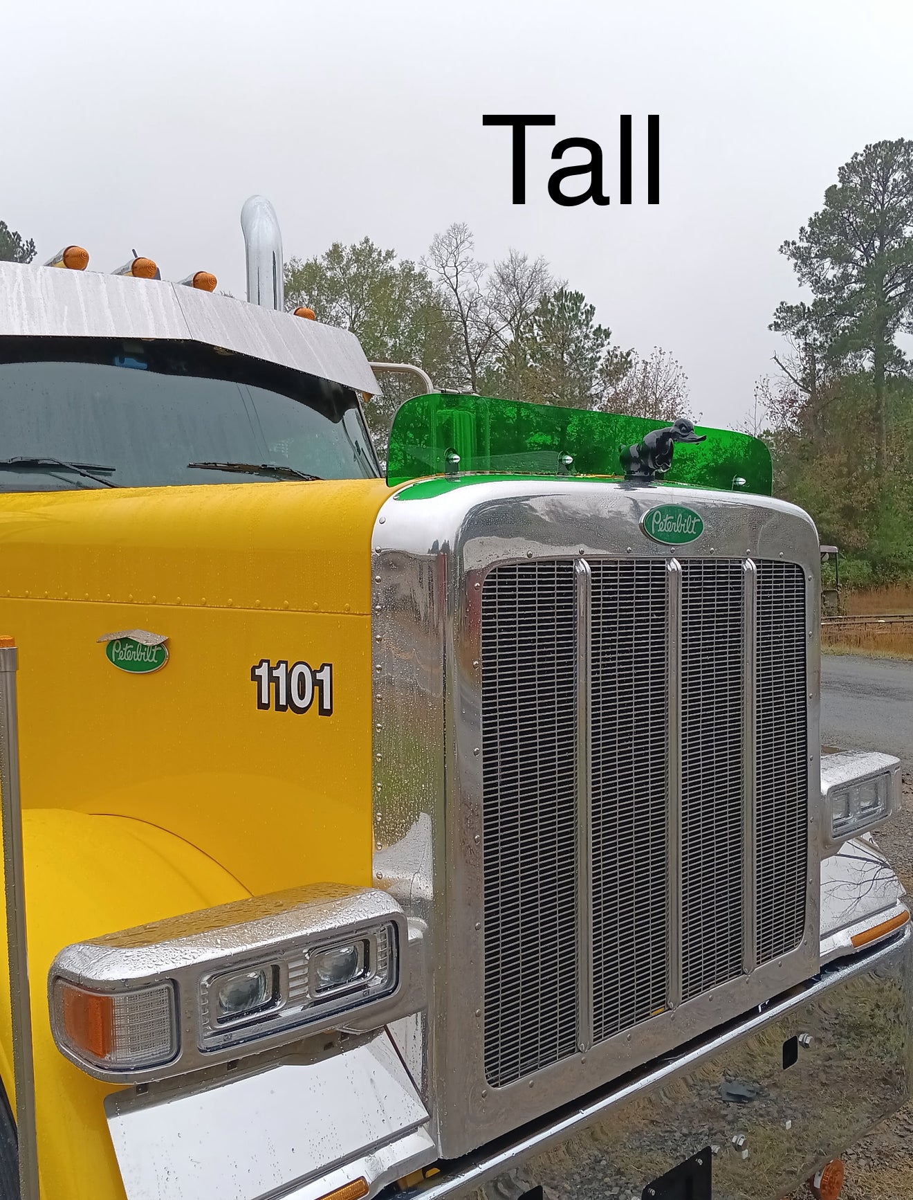 Peterbilt 589 Bugshield – Nelson Bugshields