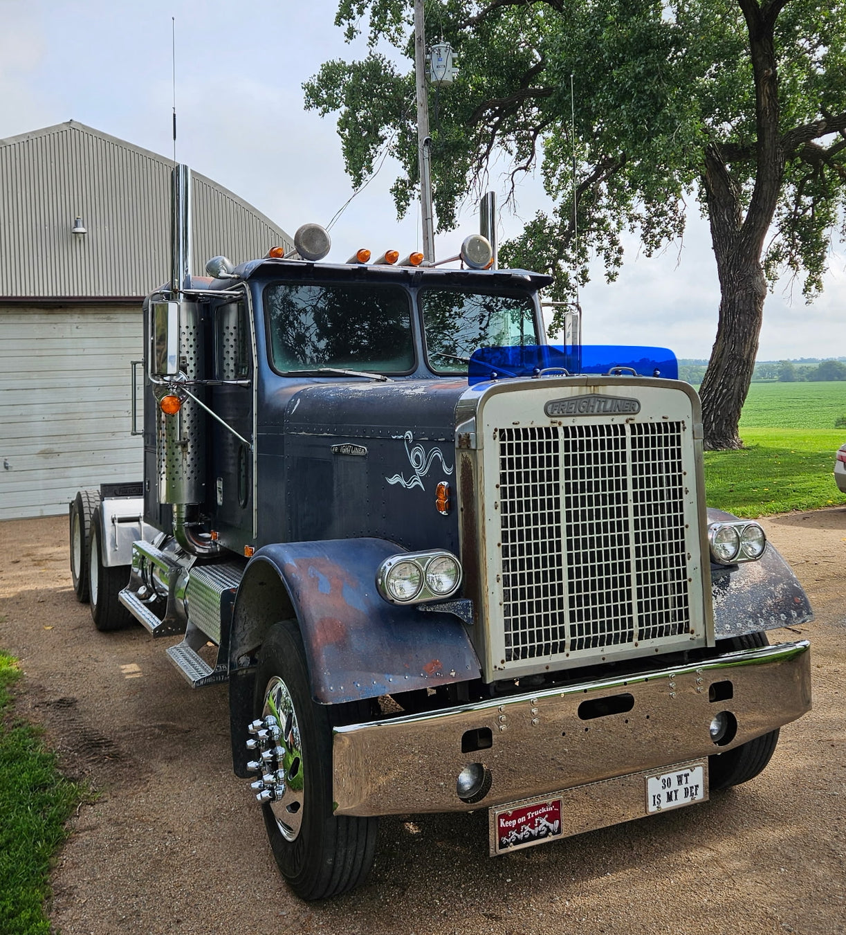 Freightliner FLC Bugshield