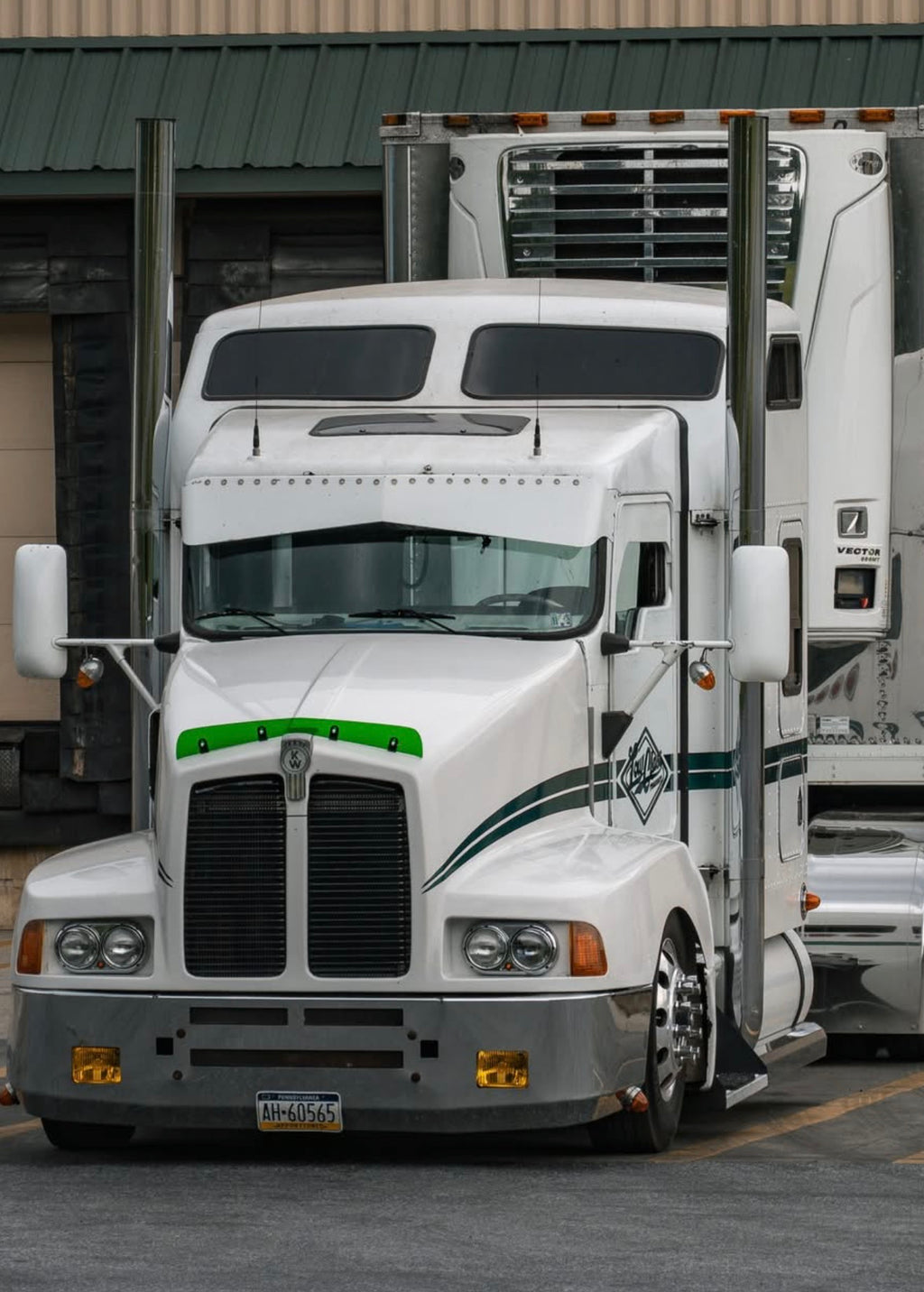 Kenworth T600 *Curved Glass* Bugshield