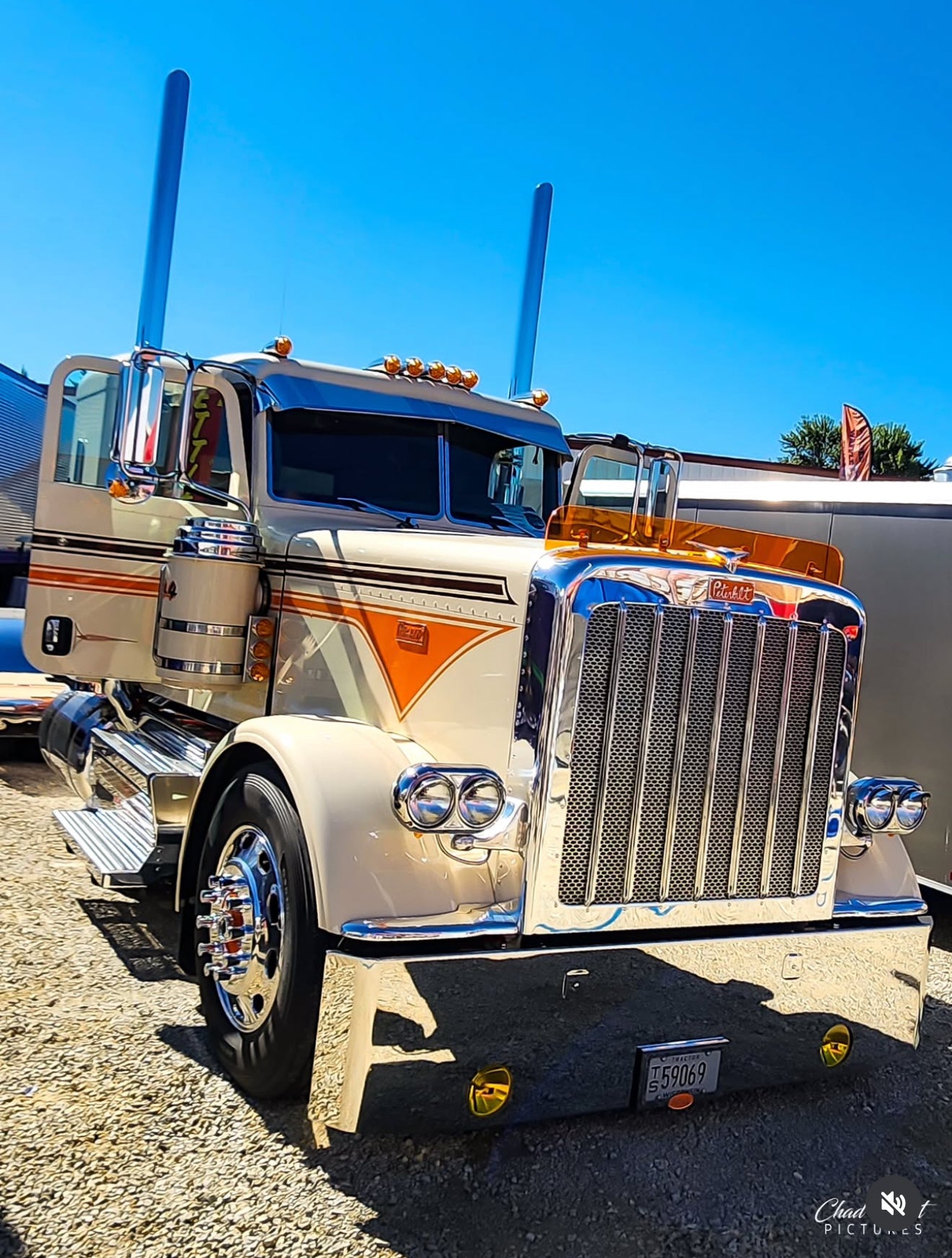 Peterbilt 389/388 Bug Shield