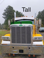 Peterbilt 589 Bugshield