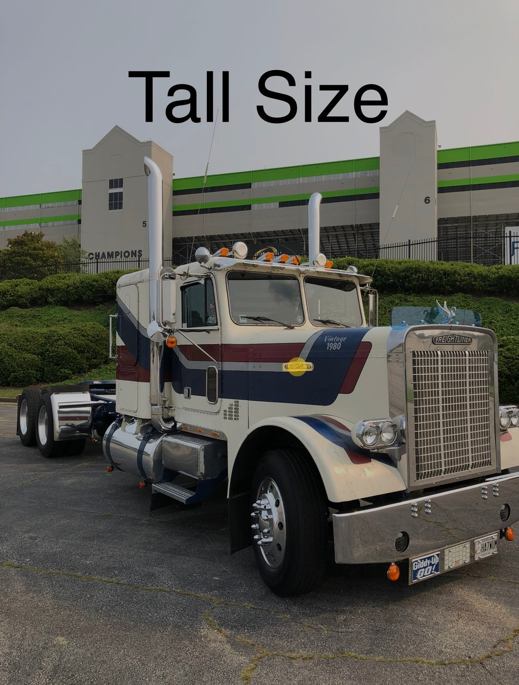 Freightliner FLC Bugshield