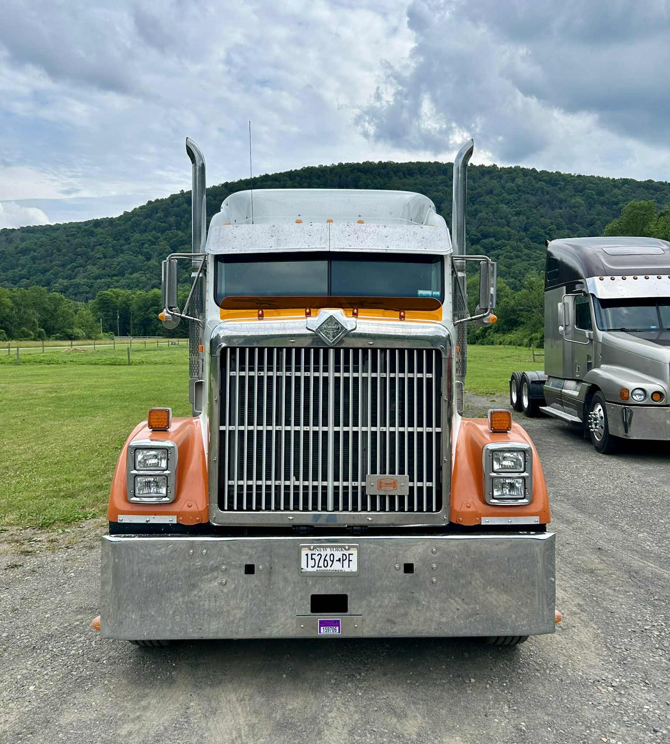 International 9300/9370 1985-2000 Models Bugshield