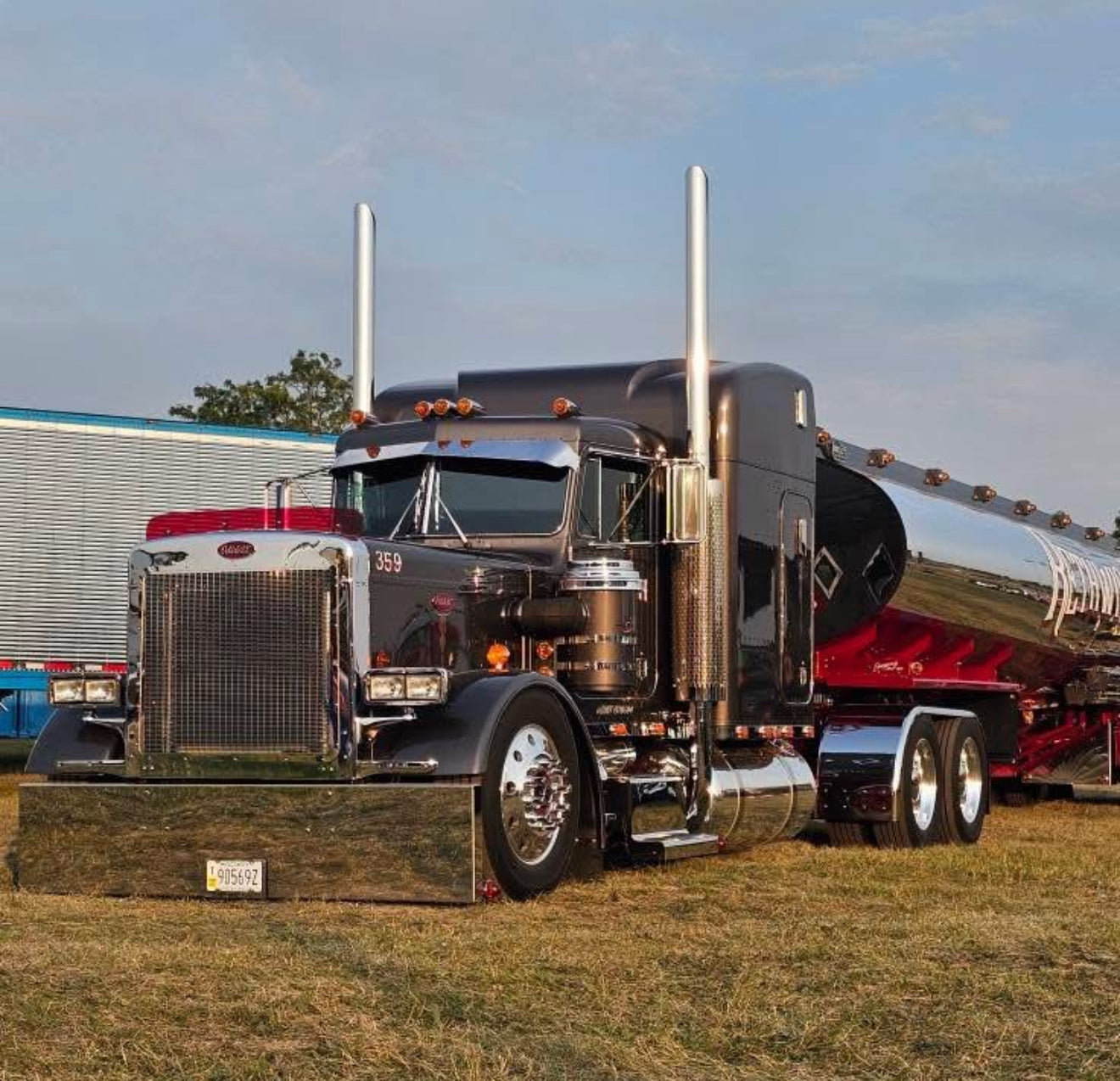 Peterbilt 359 Bugshield