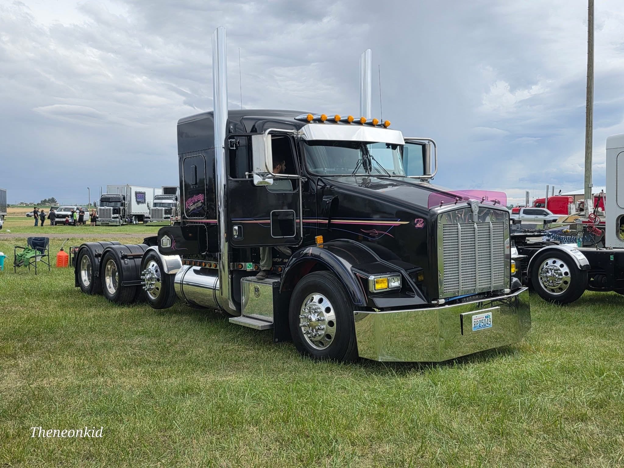 Kenworth T800 Bugshield