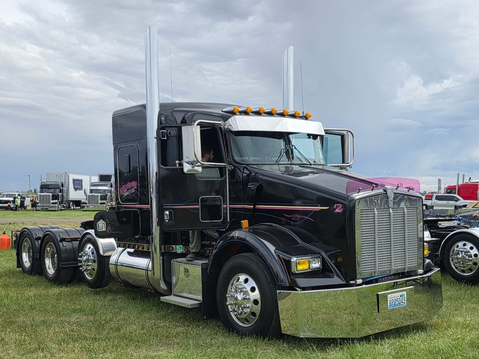 Kenworth T800 Bugshield