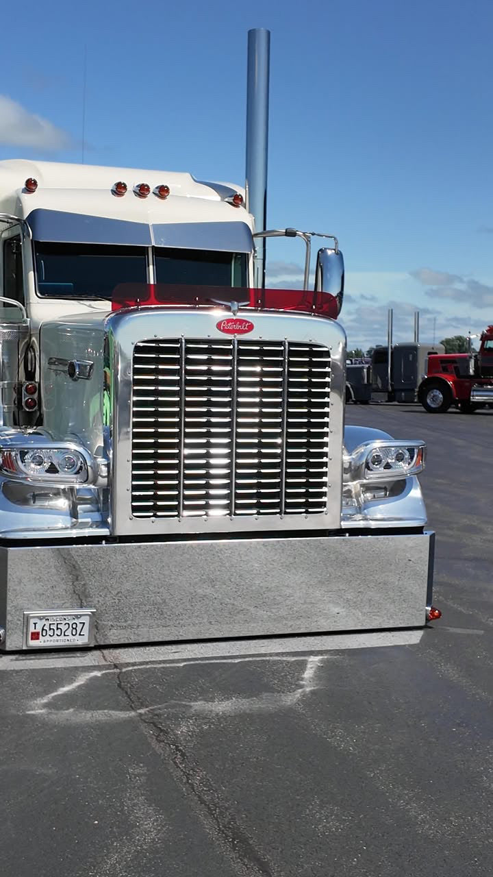 Peterbilt 389/388 Bug Shield