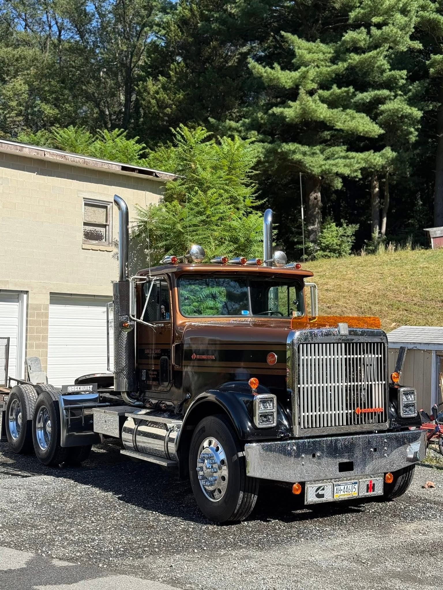 International 9300/9370 1985-2000 Models Bugshield