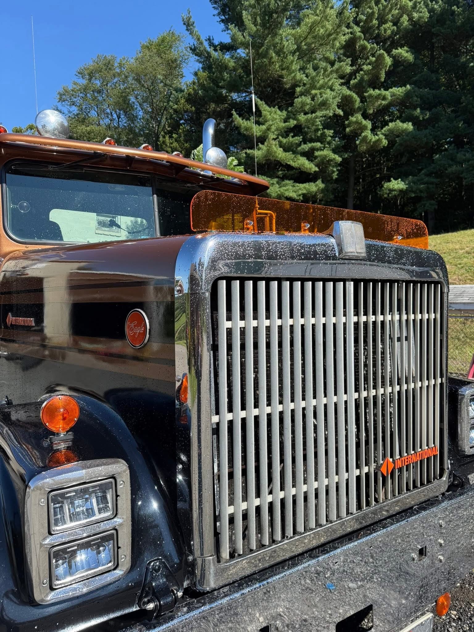 International 9300/9370 1985-2000 Models Bugshield