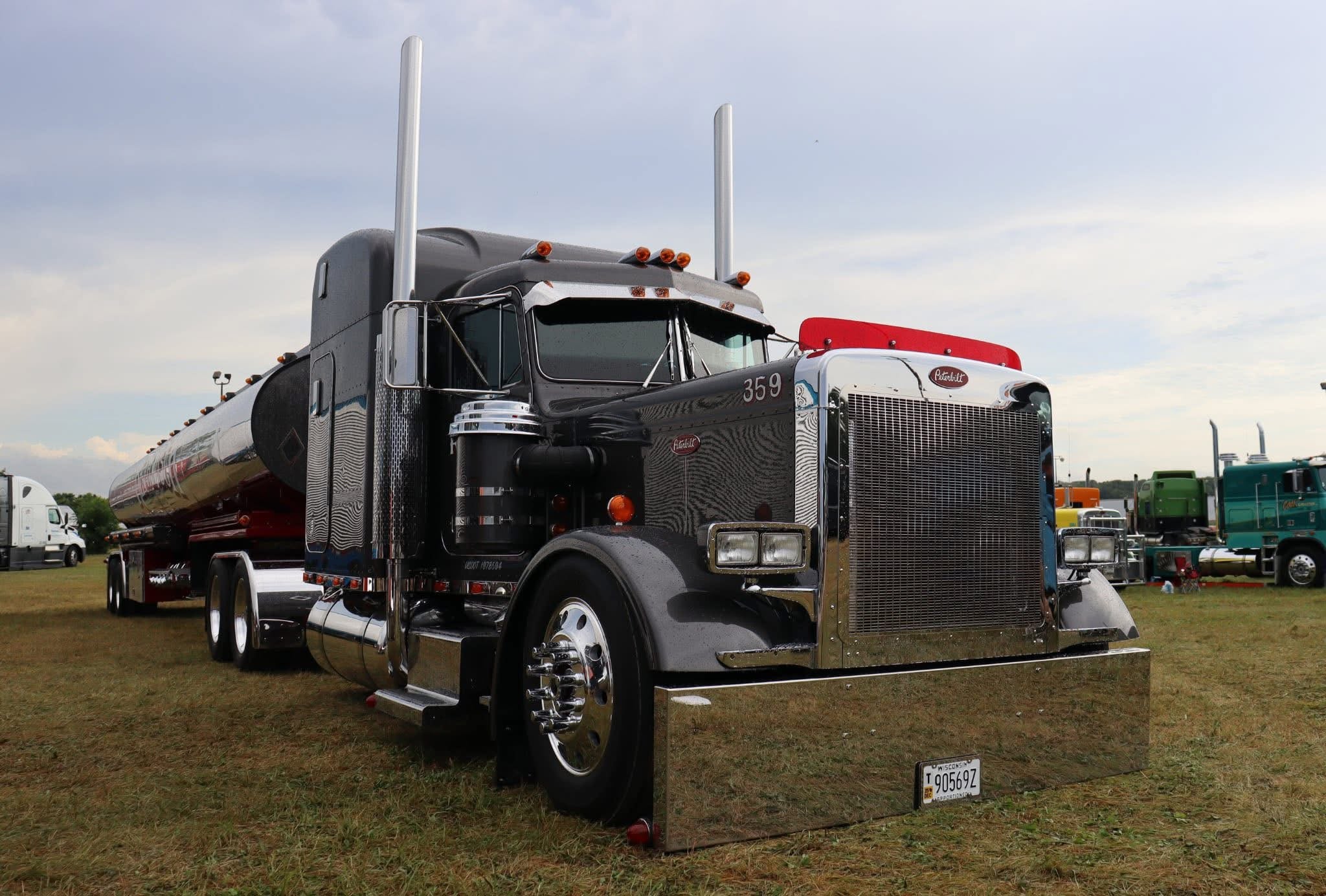 Peterbilt 359 Bugshield
