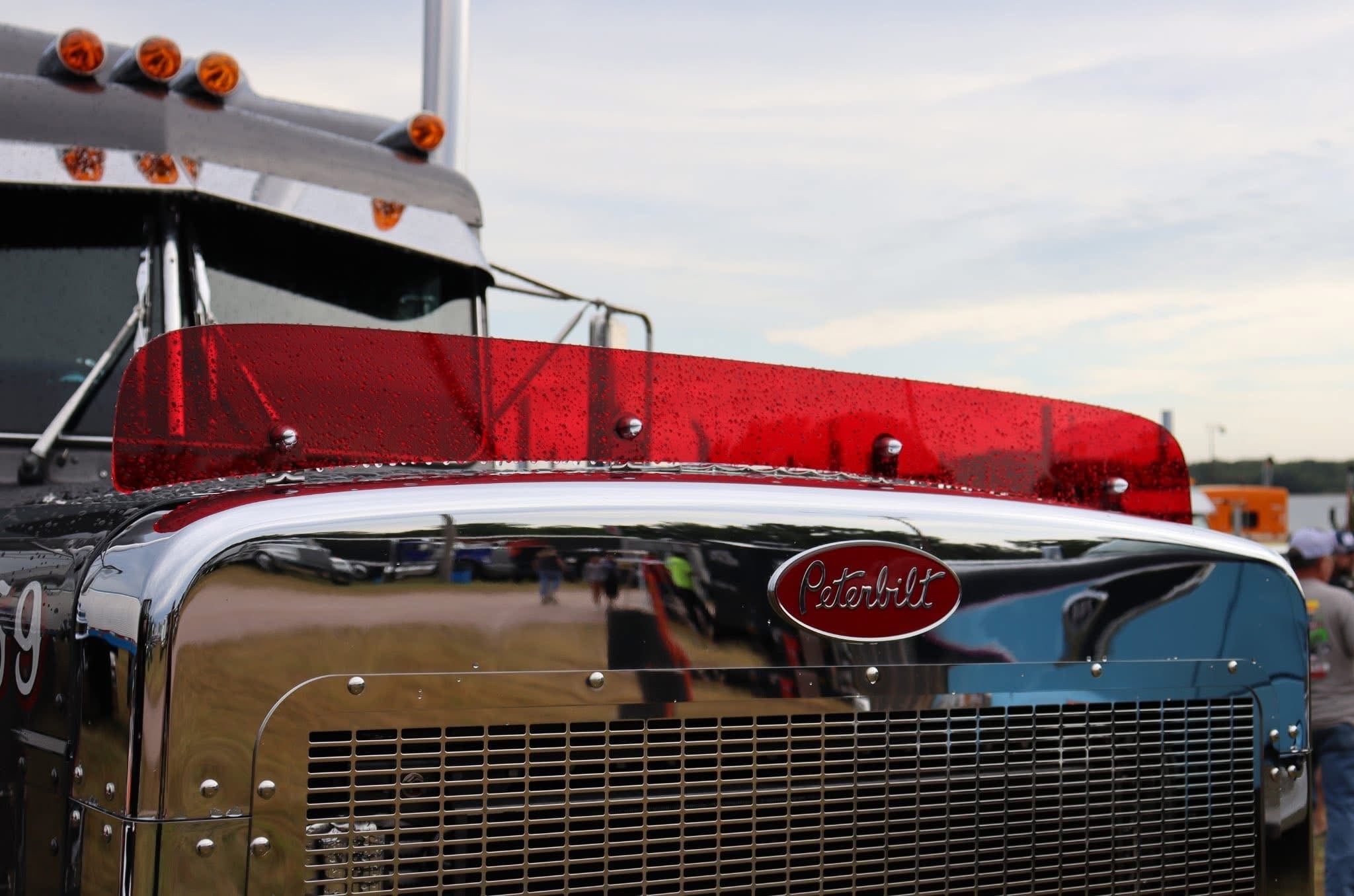 Peterbilt 359 Bugshield