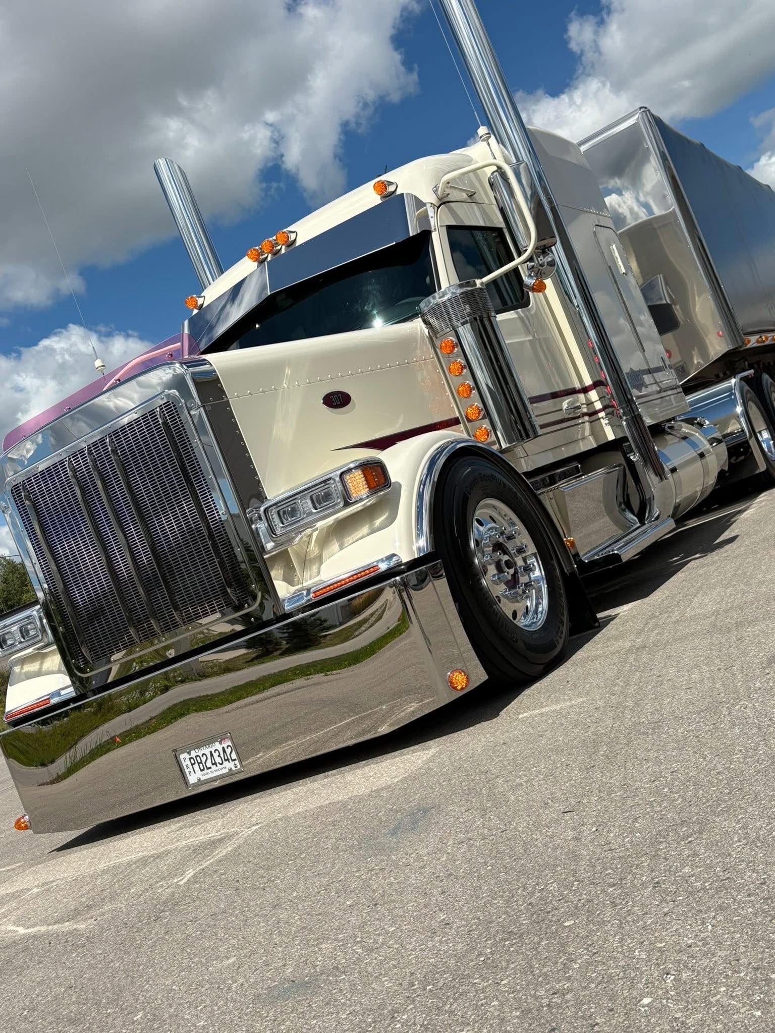 Peterbilt 589 Bugshield