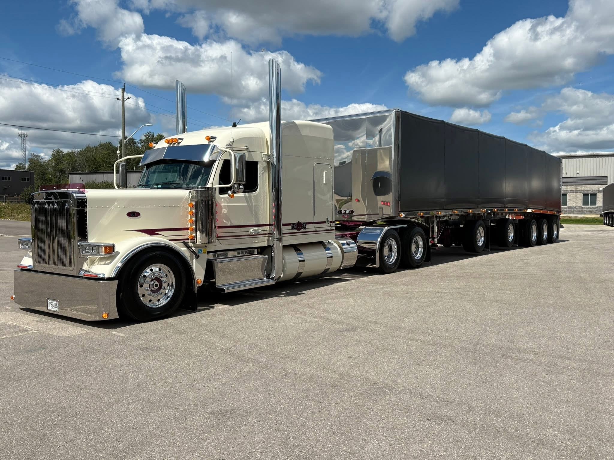 Peterbilt 589 Bugshield