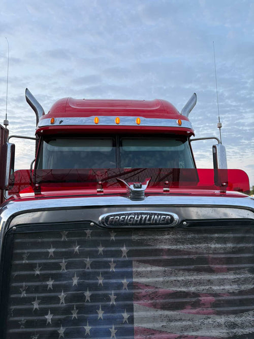 Freightliner Coronado 2010 and Up Bugshield