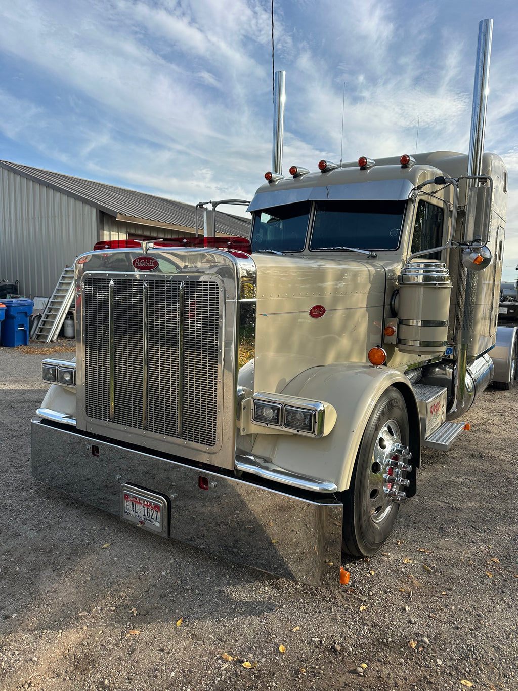 Peterbilt 389/388 Bug Shield