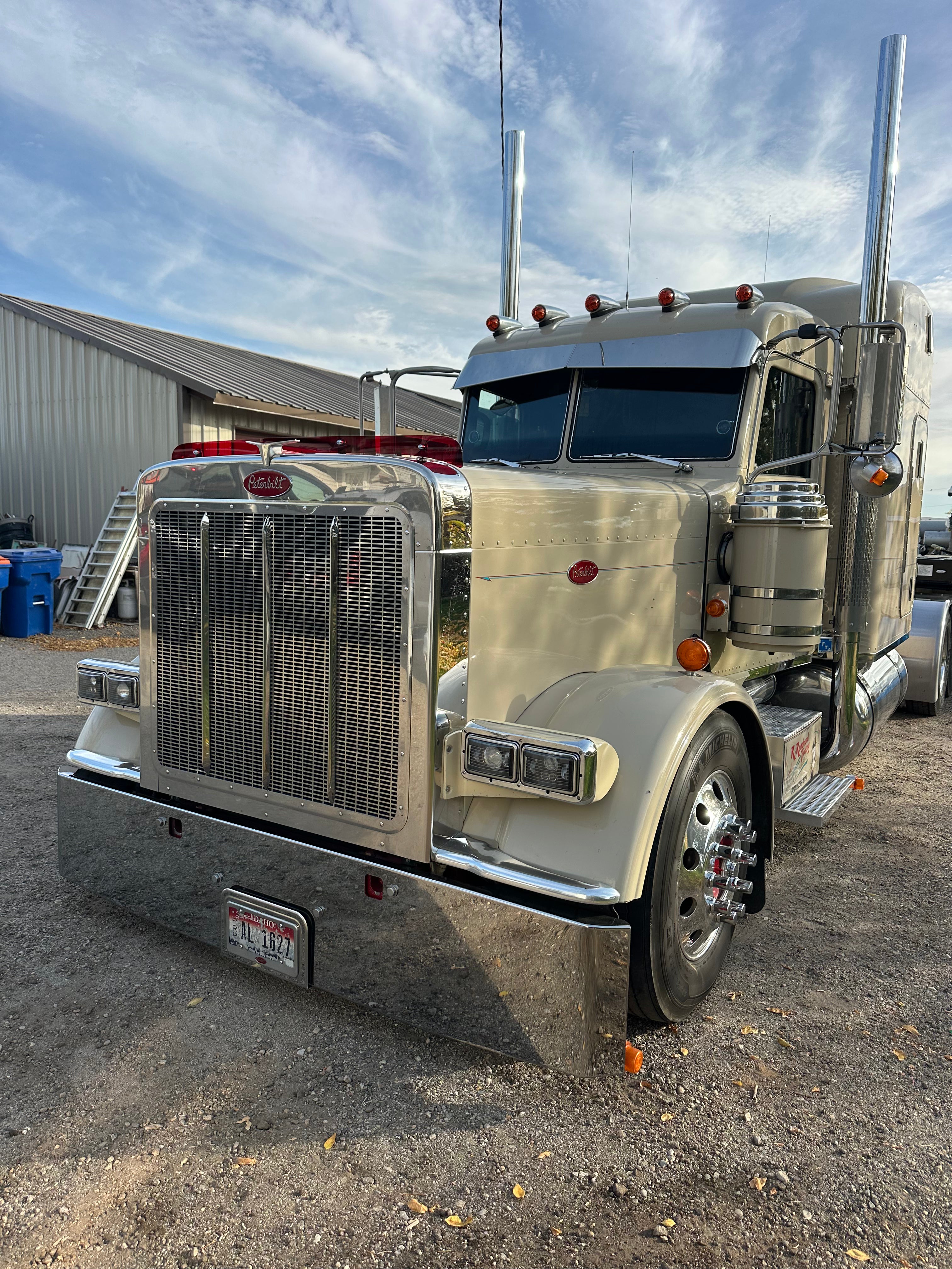 Peterbilt 389/388 Bug Shield