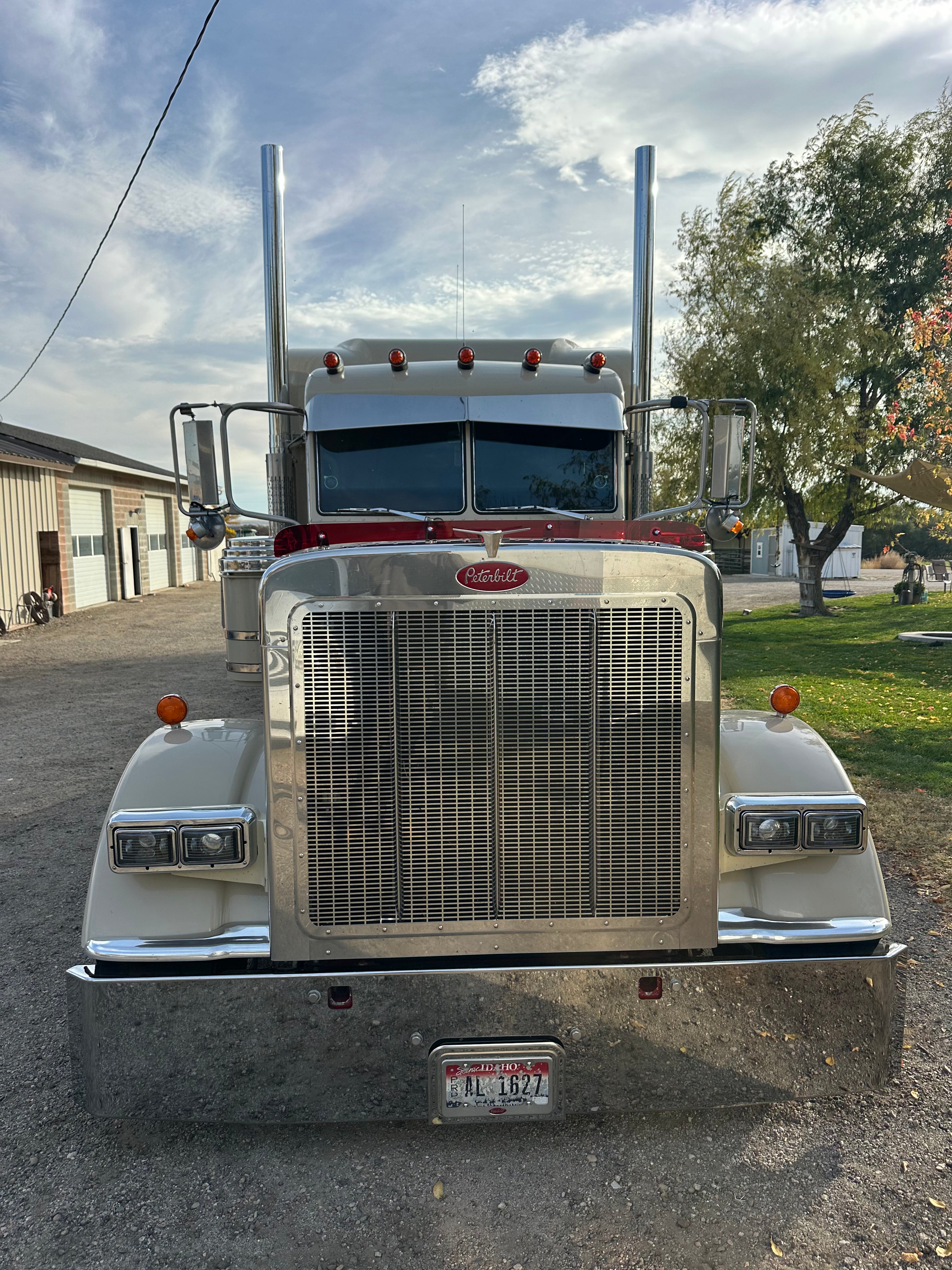Peterbilt 389/388 Bug Shield