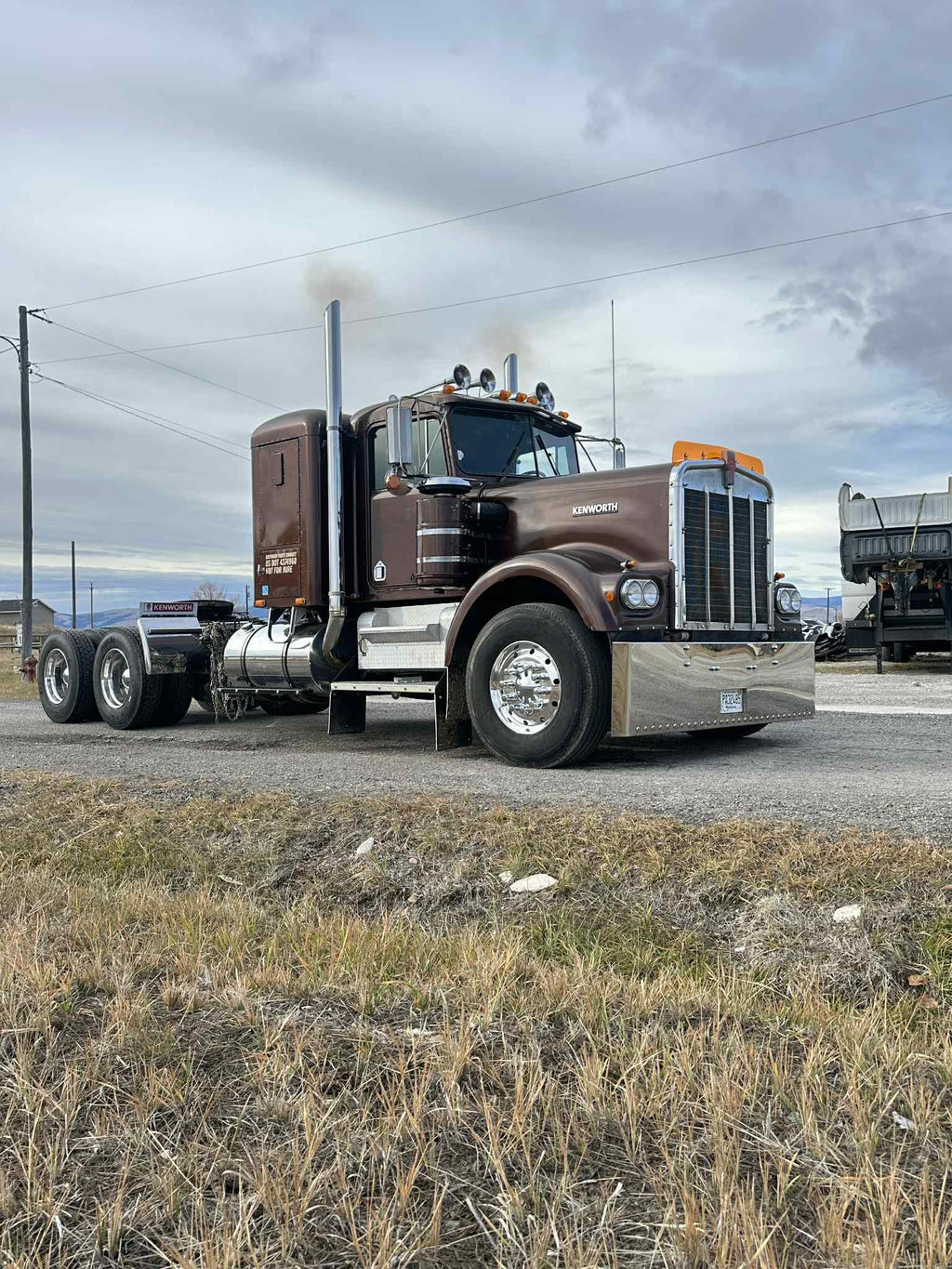 Kenworth W9A Bugshield