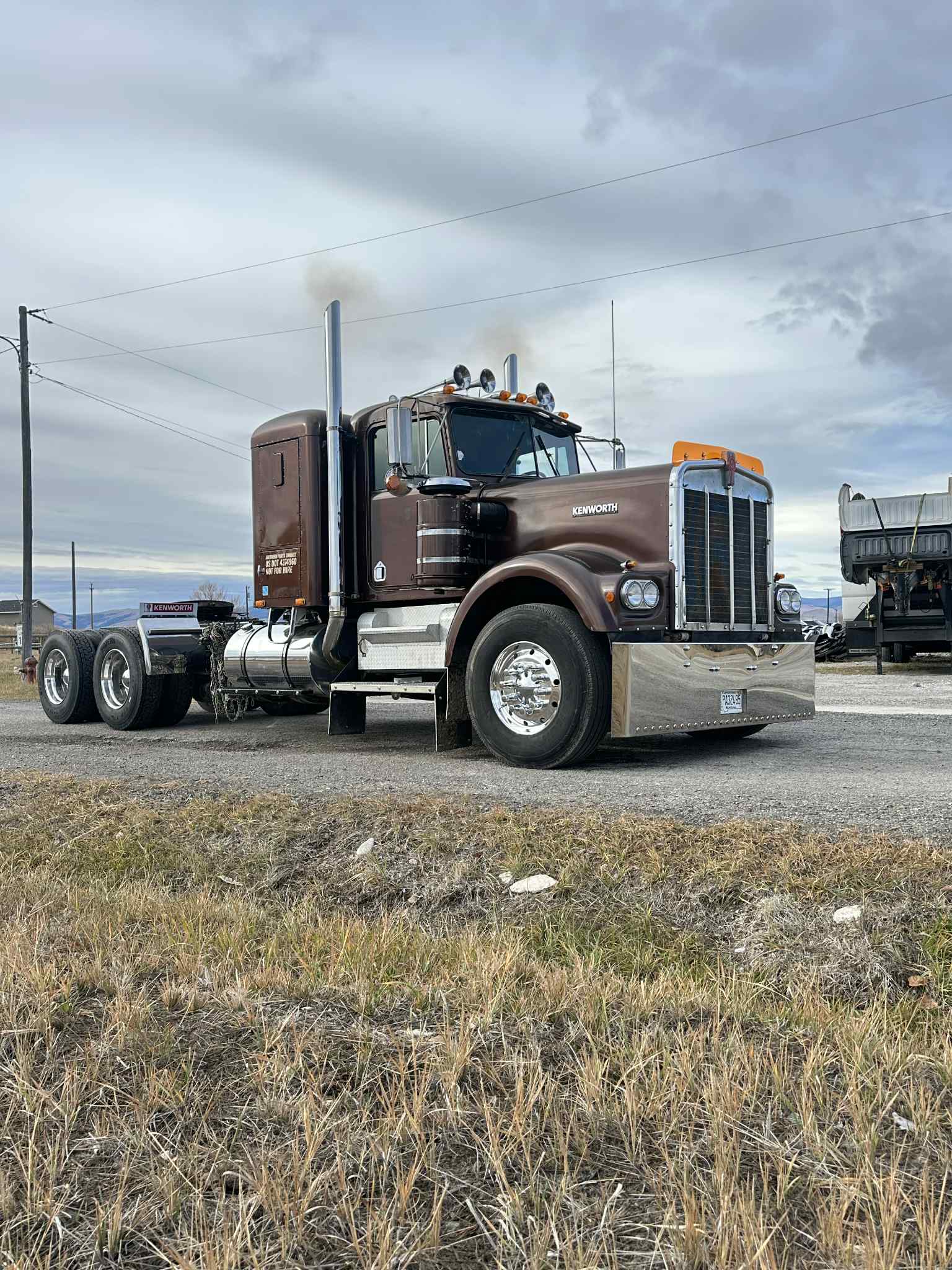 Kenworth W9A Bugshield