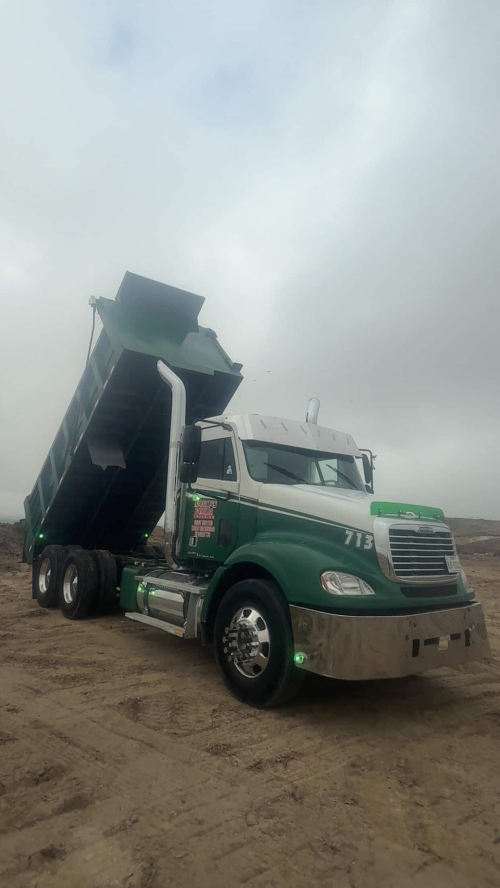 Freightliner Cascadia 2007-2018 Bugshield