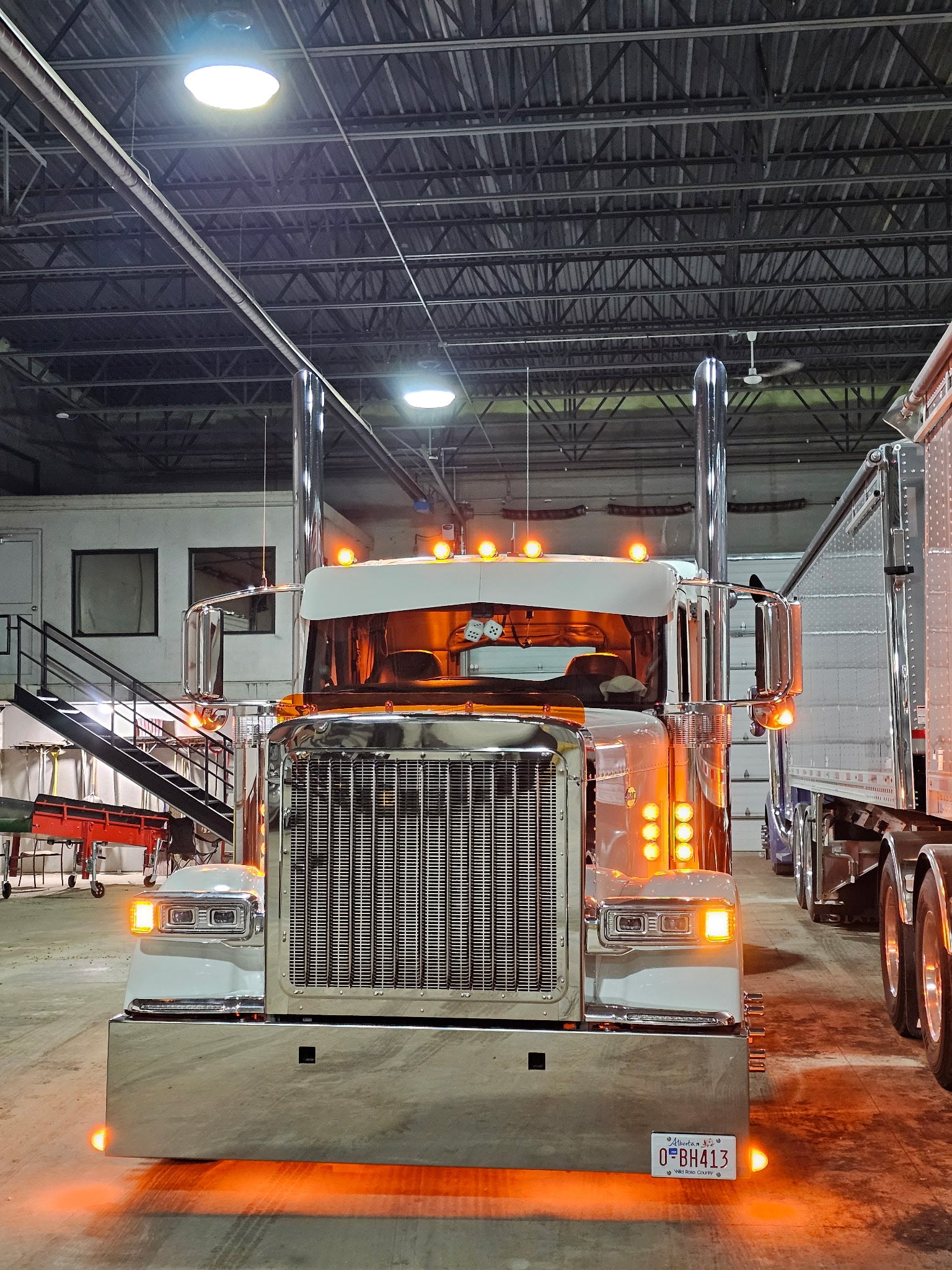 Peterbilt 589 Bugshield
