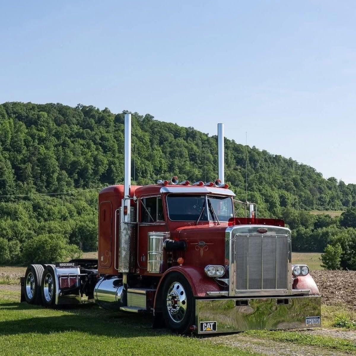 Peterbilt 359 Bugshield
