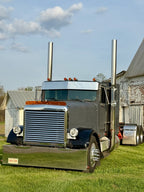 International 9300/9370 1985-2000 Models Bugshield