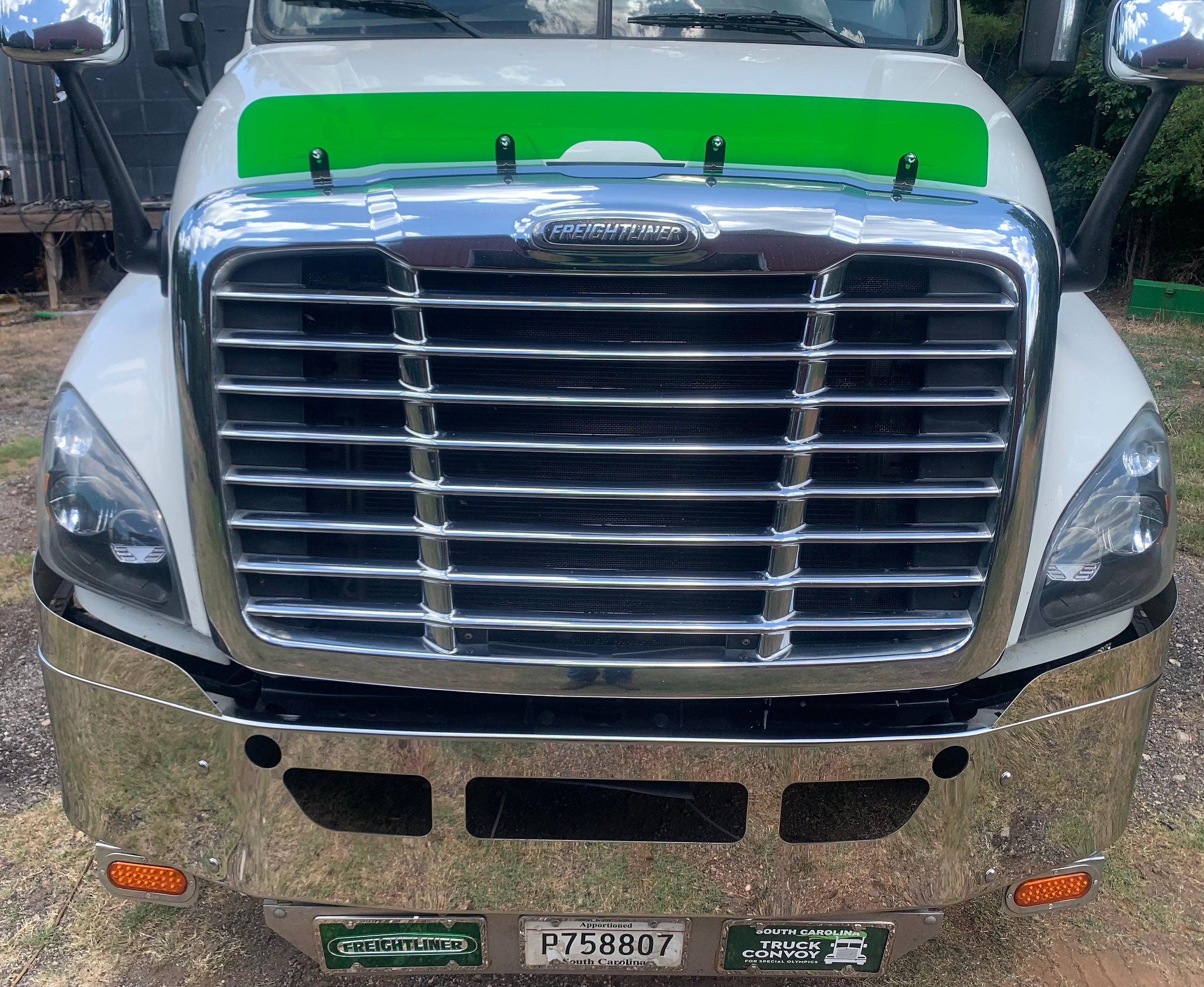 Freightliner Cascadia 2007-2018 Bugshield