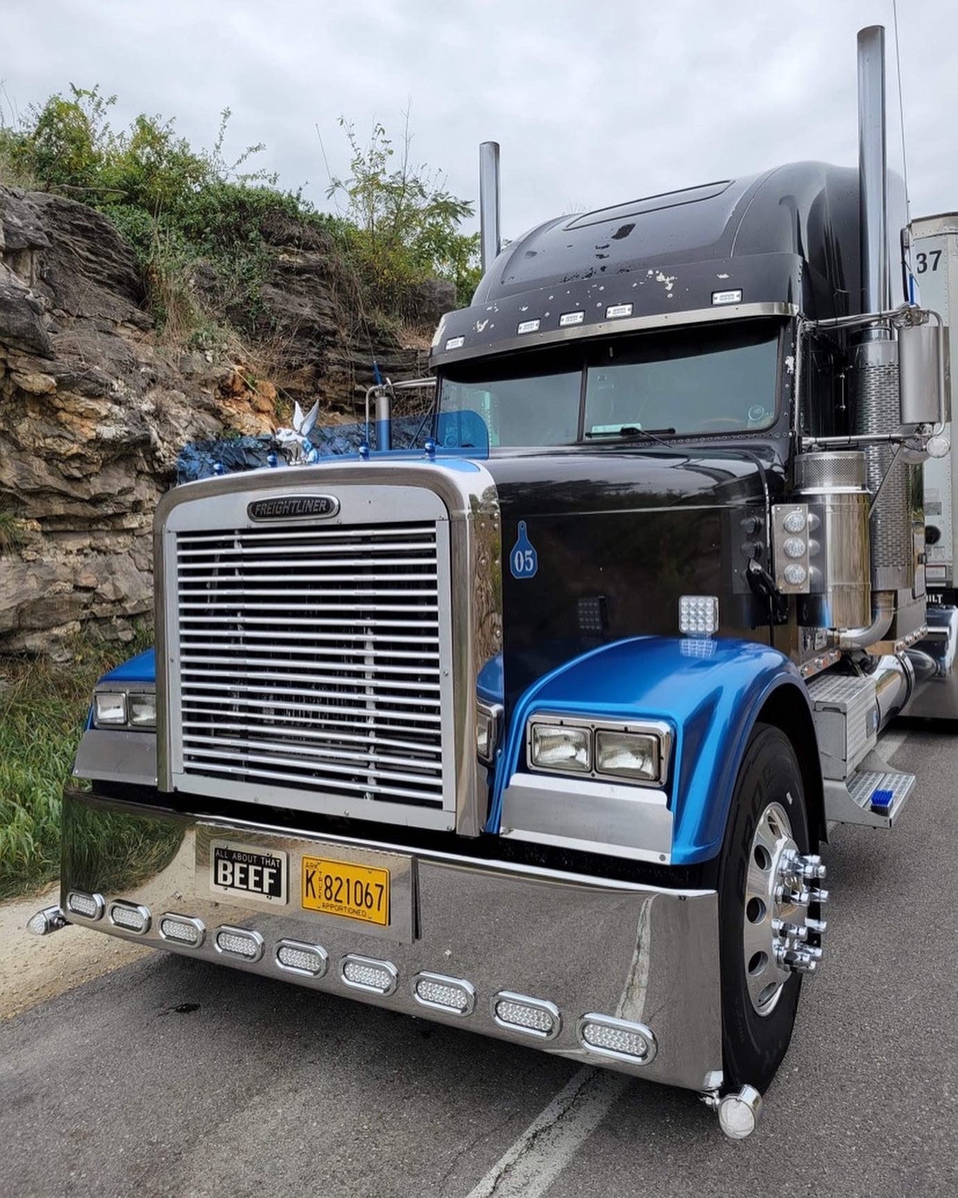 Freightliner Classic Bugshield