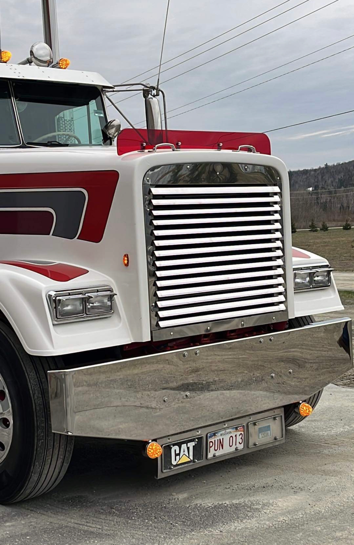 Freightliner Classic Bugshield