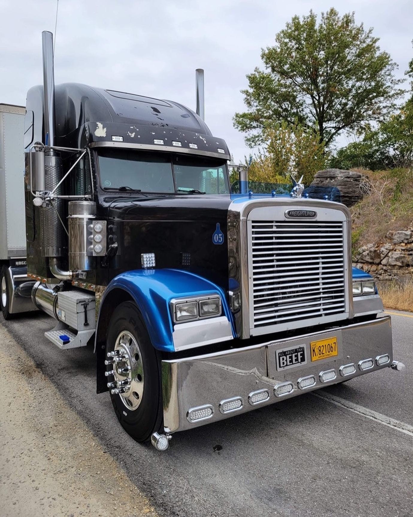 Freightliner Classic Bugshield