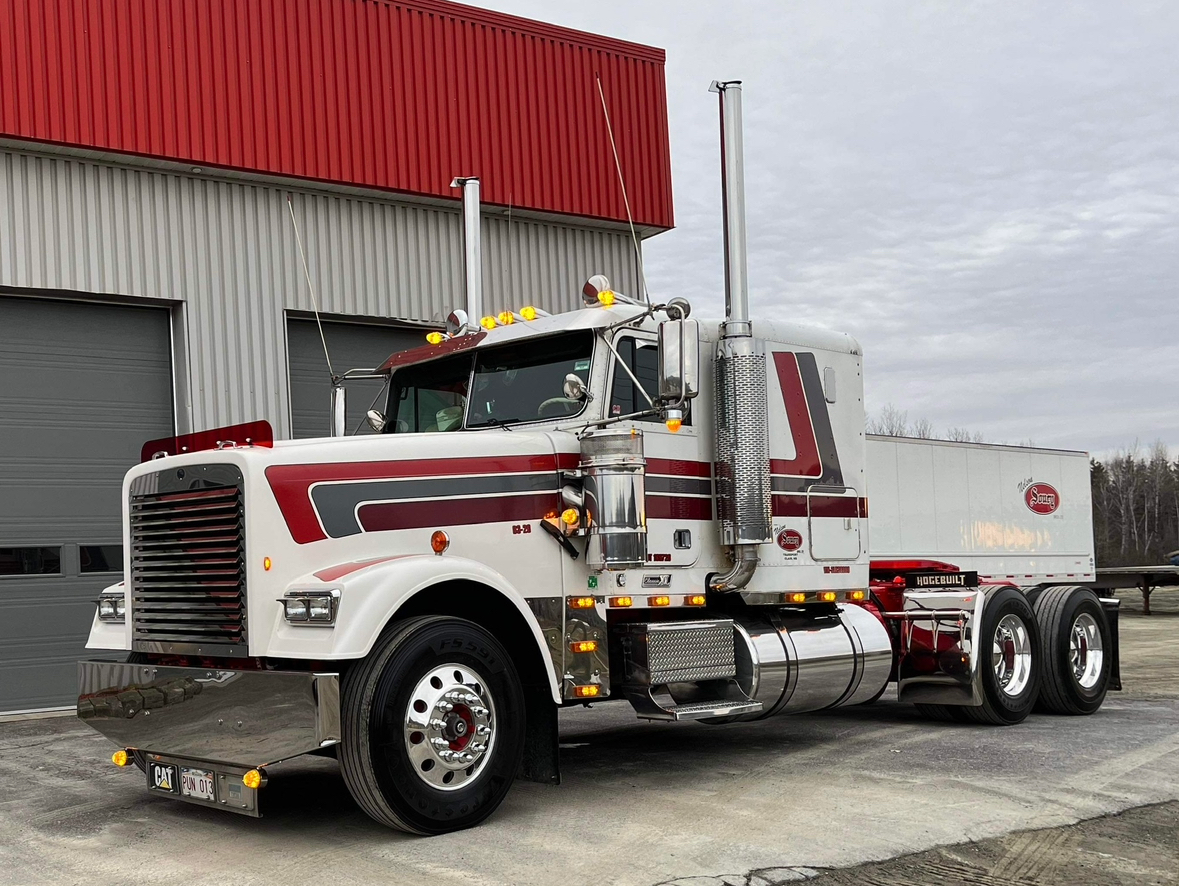 Freightliner Classic Bugshield