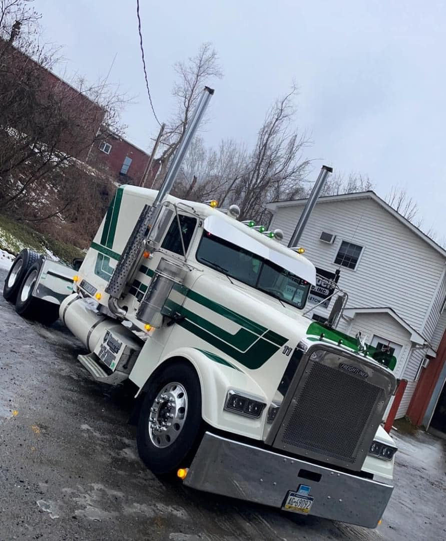 Freightliner Classic Bugshield