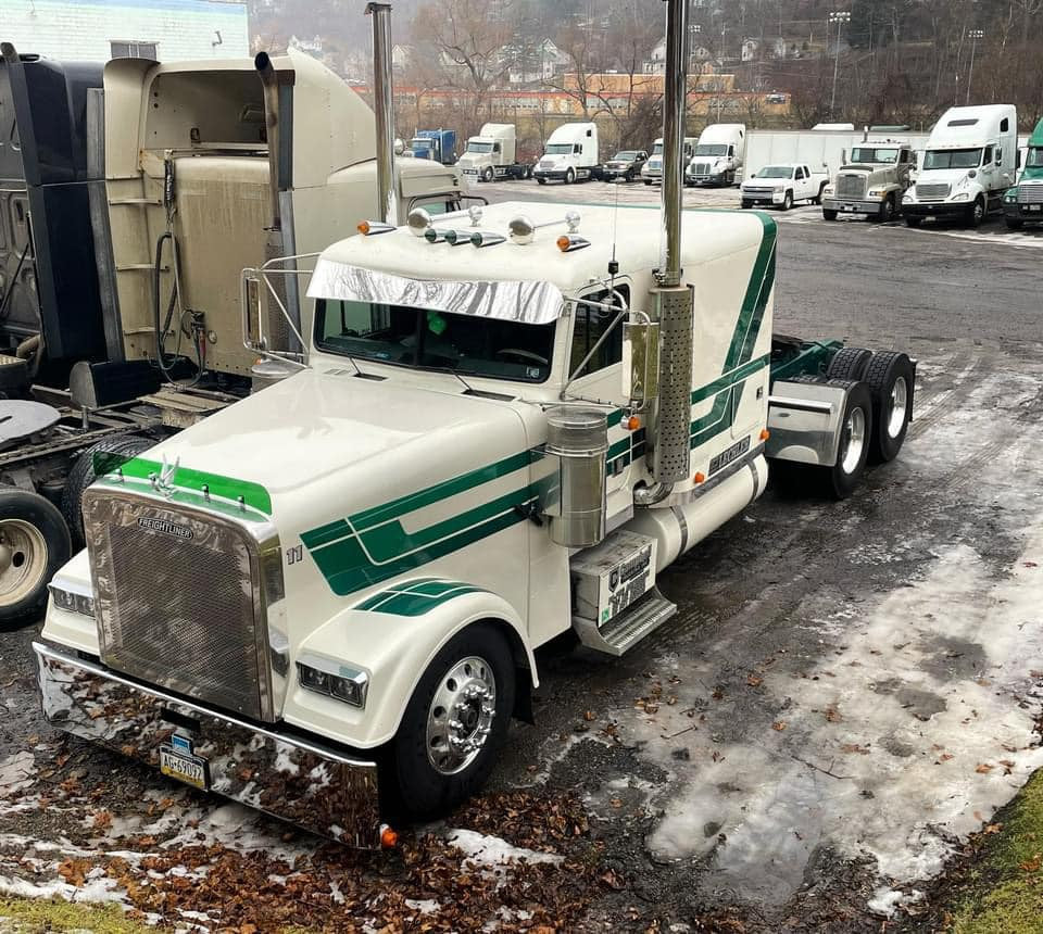 Freightliner Classic Bugshield