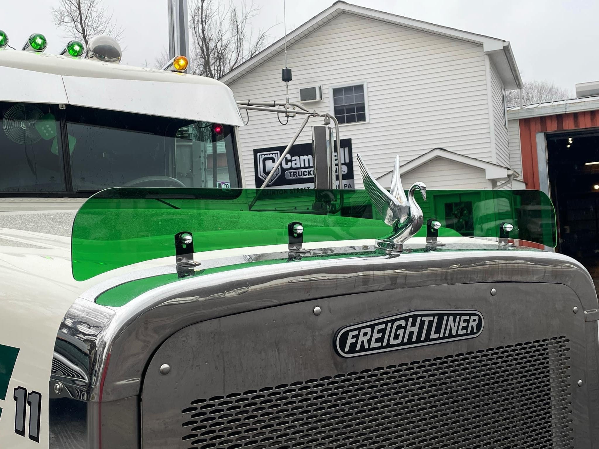 Freightliner Classic Bugshield