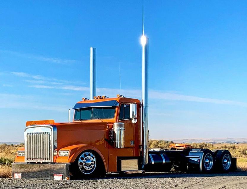 Freightliner Classic Bugshield