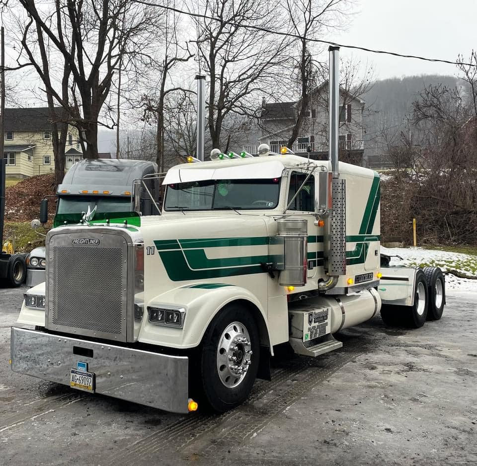 Freightliner Classic Bugshield