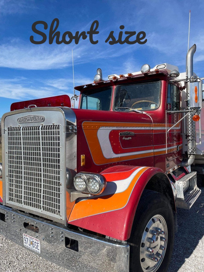 Freightliner FLC Bugshield