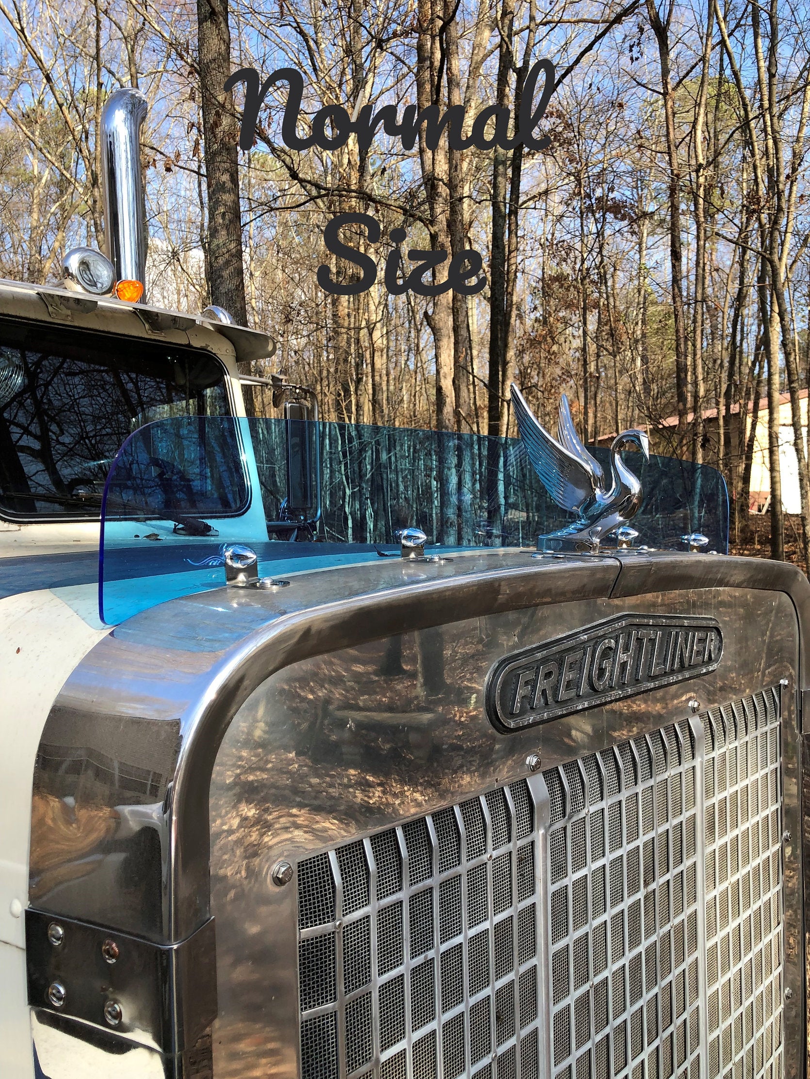 Freightliner FLC Bugshield