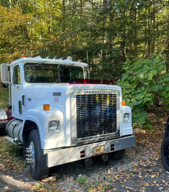 International 4300 Bugshield