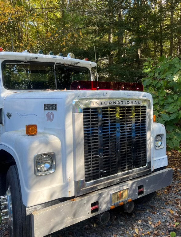 International 4300 Bugshield