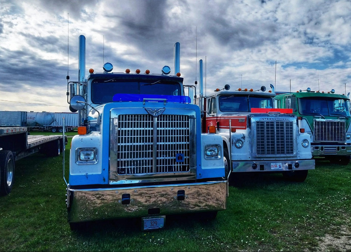 International 4300 Bugshield