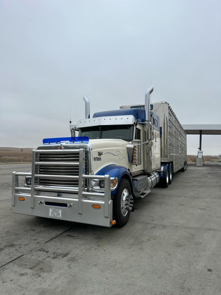 International 9900/99001 Bugshield