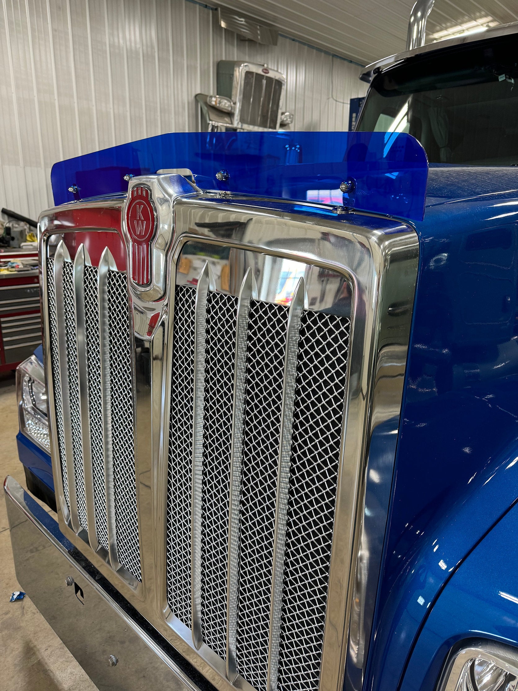 Kenworth 990 Bugshield