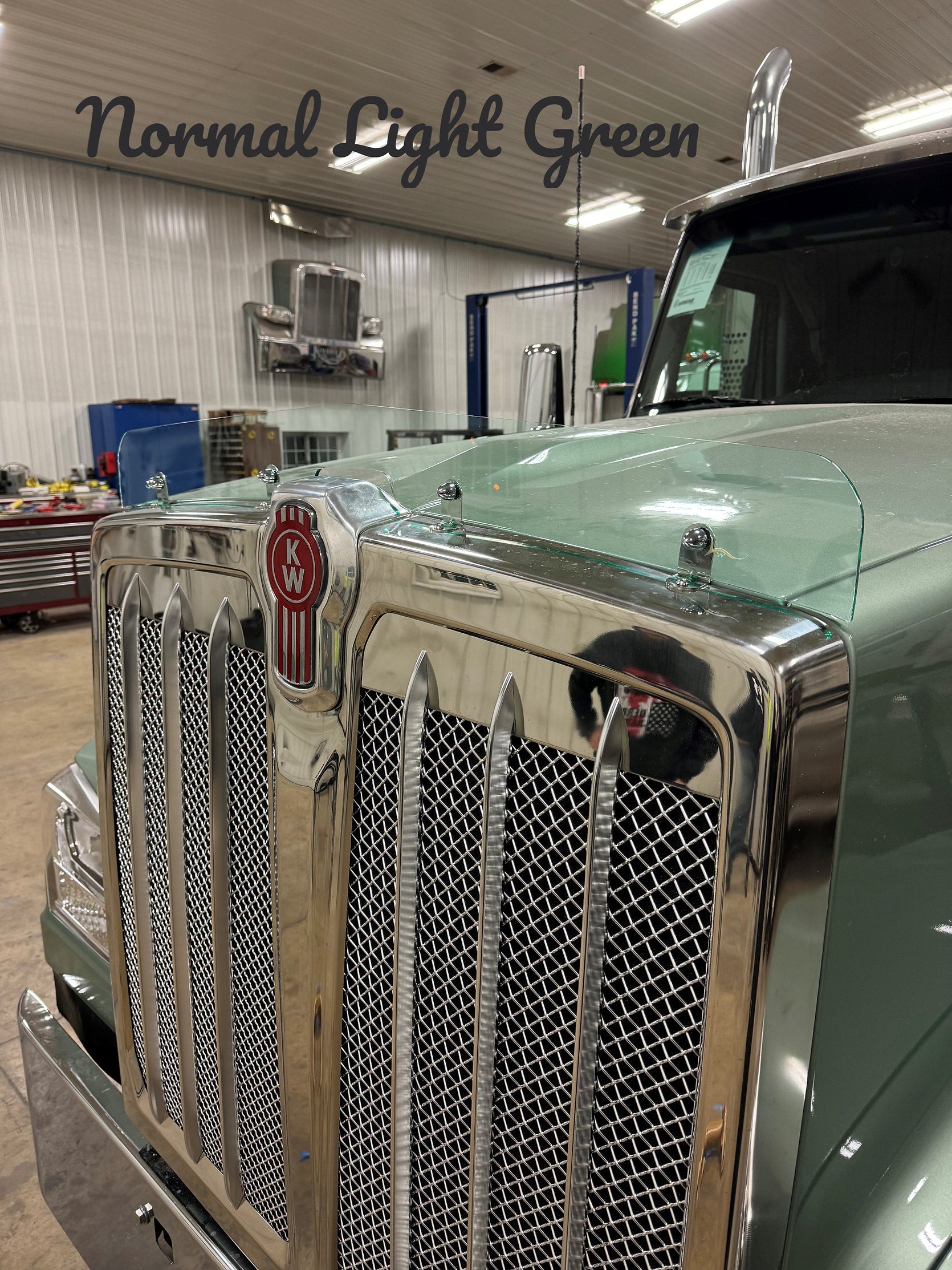 Kenworth 990 Bugshield